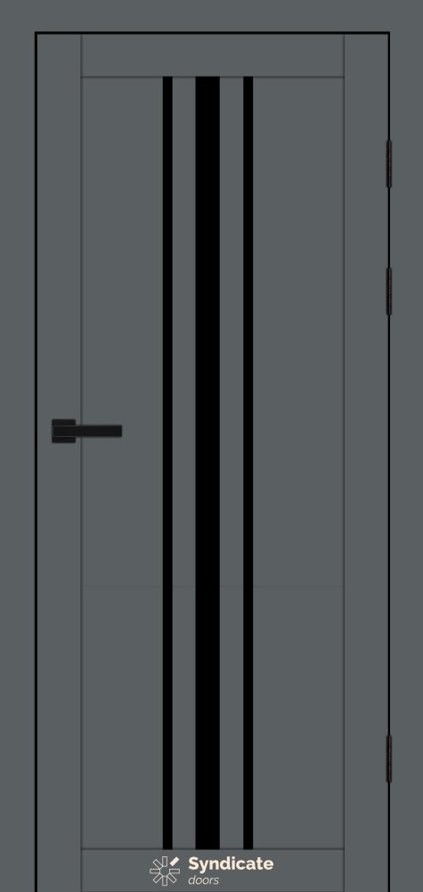 Двері Syndicate Doors SD-143 емалія графітіко скло чорне
