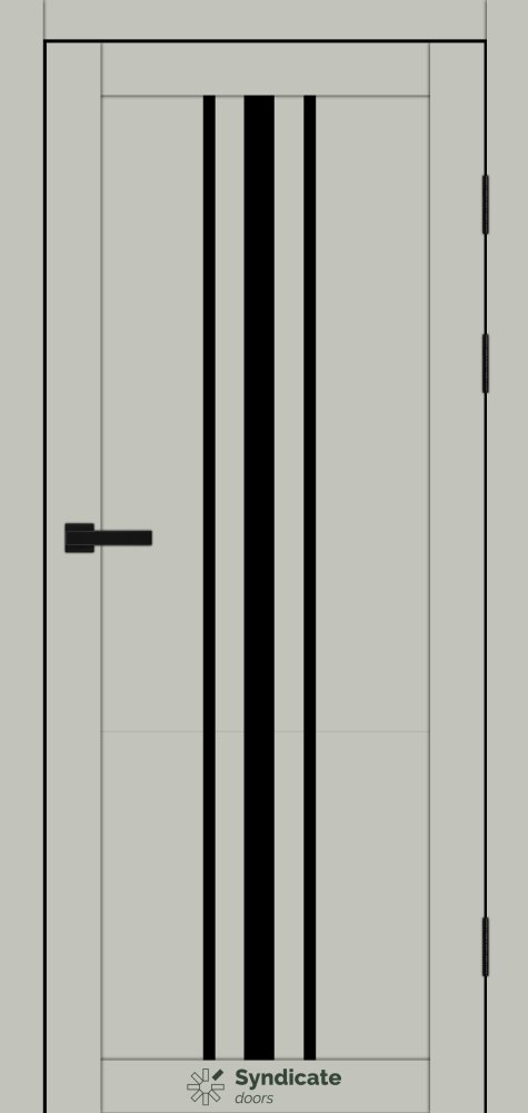 Двері Syndicate Doors SD-143 емалія гріджо скло чорне